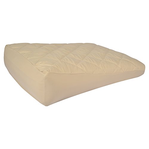 Algopix Similar Product 10 - Inflatable Bed Wedge Pillow Acid