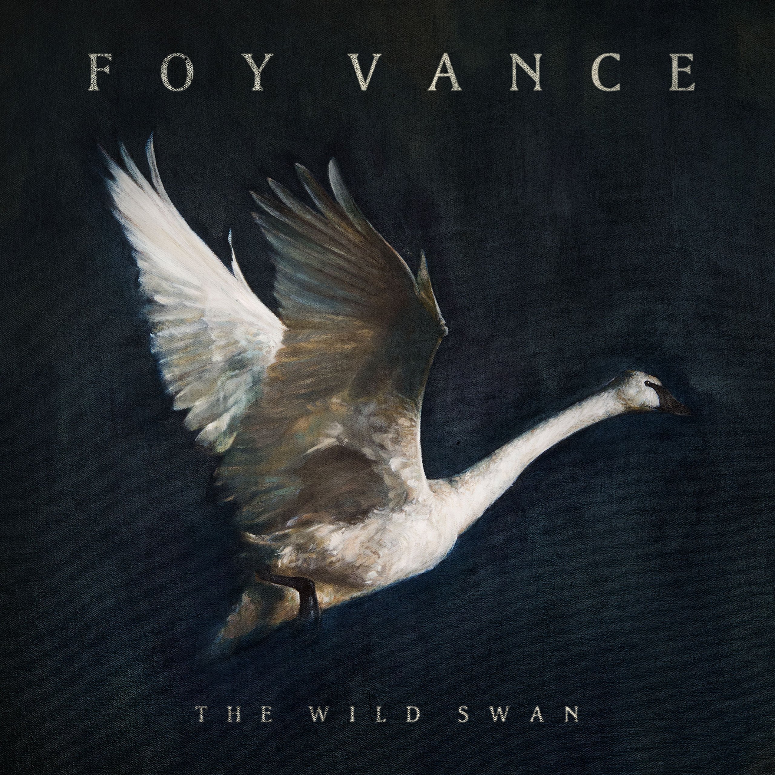 Algopix Similar Product 10 - The Wild Swan