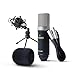 Algopix Similar Product 14 - Marantz Professional MPM1000  Studio