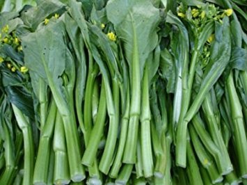 Algopix Similar Product 4 - Asian Heirloom Yu Choi Edible Rape by