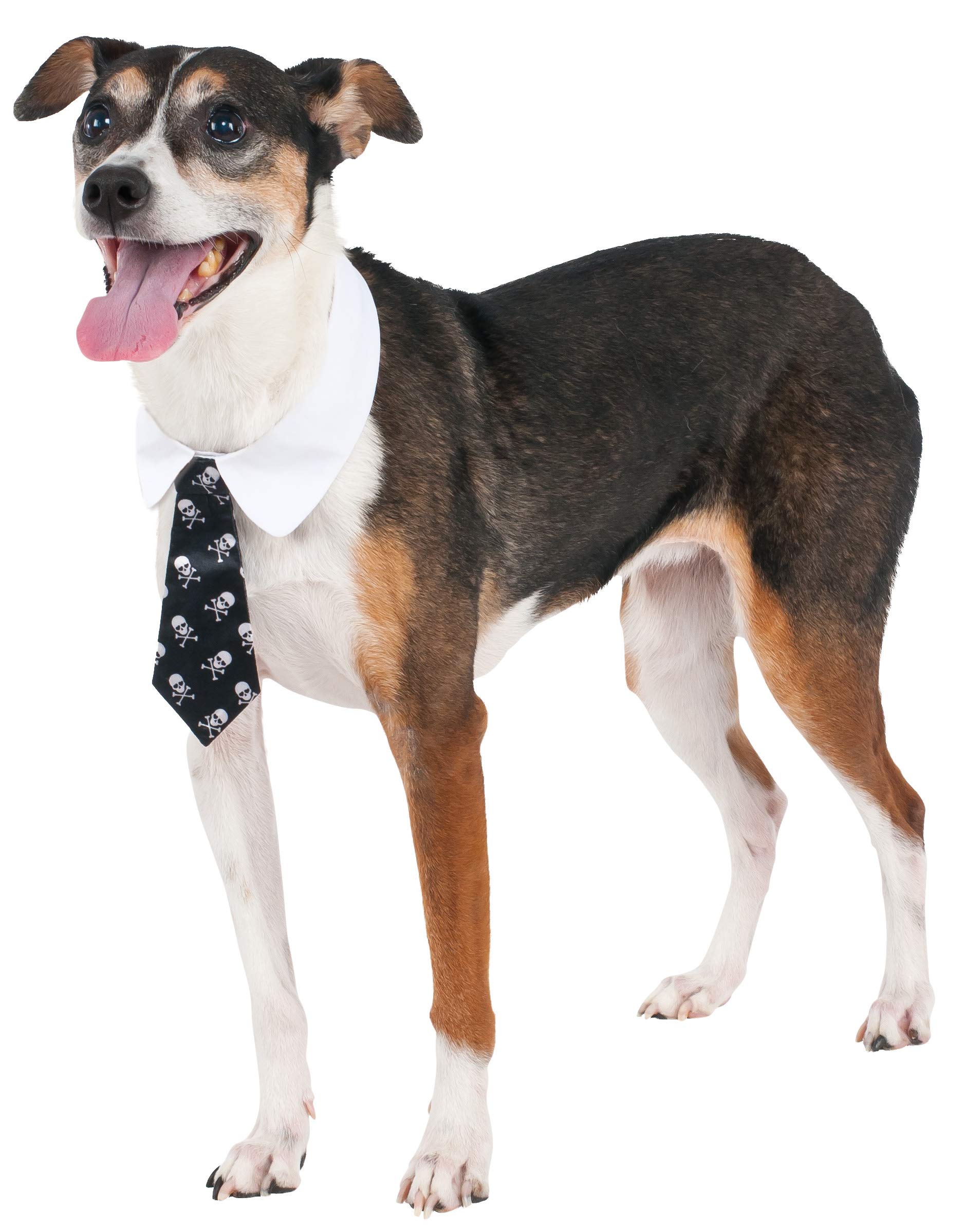 Algopix Similar Product 16 - Skull Print Tie for Pet, Large/X-Large