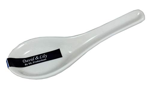 Algopix Similar Product 14 - Chinese Porcelain Soup Spoons in White