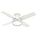 Algopix Similar Product 14 - Hunter 44 inch Indoor Ceiling Fan with