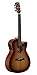 Algopix Similar Product 3 - Alvarez AF60CESHB Artist Series Guitar