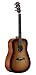 Algopix Similar Product 10 - Alvarez AD60SHB Artist Series Guitar