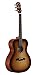 Algopix Similar Product 4 - Alvarez AF60SHB Artist Series Guitar
