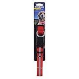 Algopix Similar Product 7 - Nite Ize NND2L10R3 Nite Dawg LED