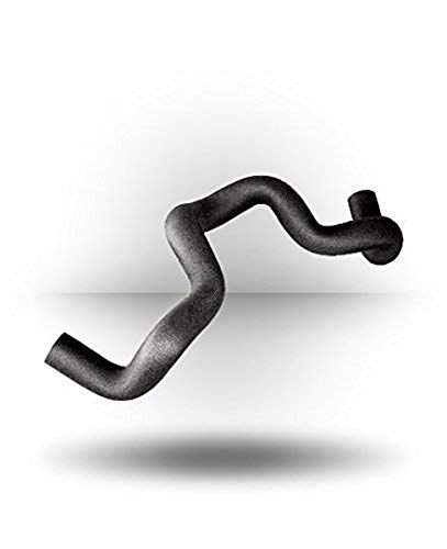 Algopix Similar Product 15 - BodySolid SH22XLXXL Shoulder Horn