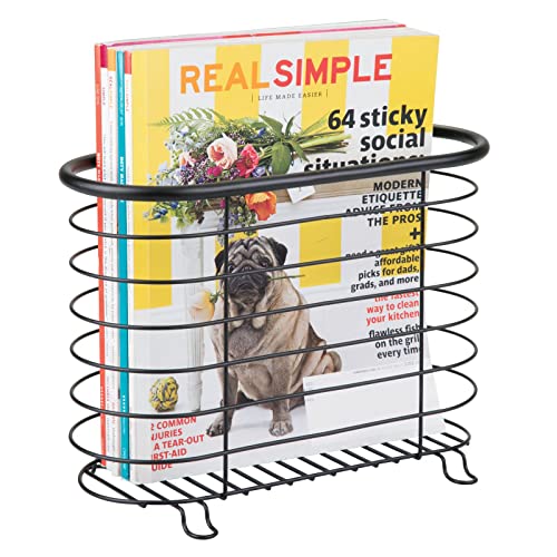 Algopix Similar Product 1 - mDesign Steel Magazine Holder Storage