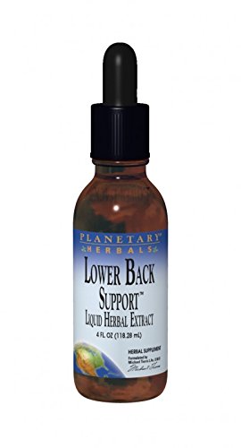 Algopix Similar Product 7 - PLANETARY HERBALS Lower Back Support
