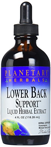 Algopix Similar Product 8 - PLANETARY HERBALS Lower Back Support