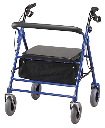 Algopix Similar Product 18 - Easy Comforts Bariatric Rollator