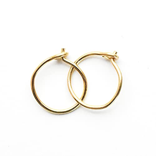 Algopix Similar Product 6 - Tiny 14K Yellow Gold Fill Hoops