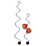 Algopix Similar Product 7 - WMF Spiral Fruit Basic Stainless