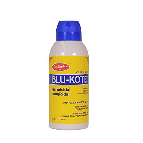 Algopix Similar Product 12 - Dr Naylor BluKote Aerosol 128 Gram