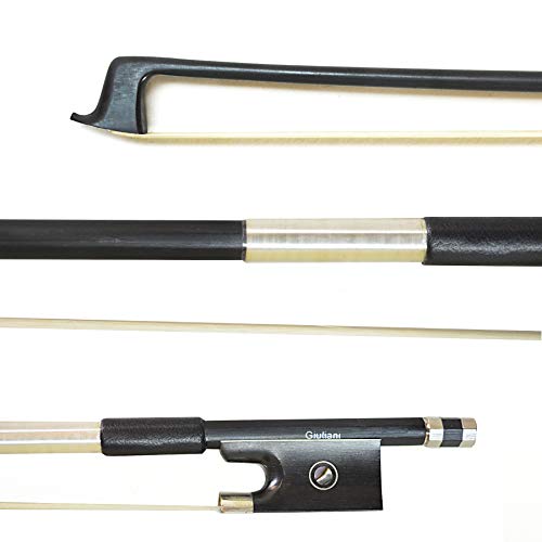 Algopix Similar Product 15 - Giuliani Carbon Fiber Clearance Violin