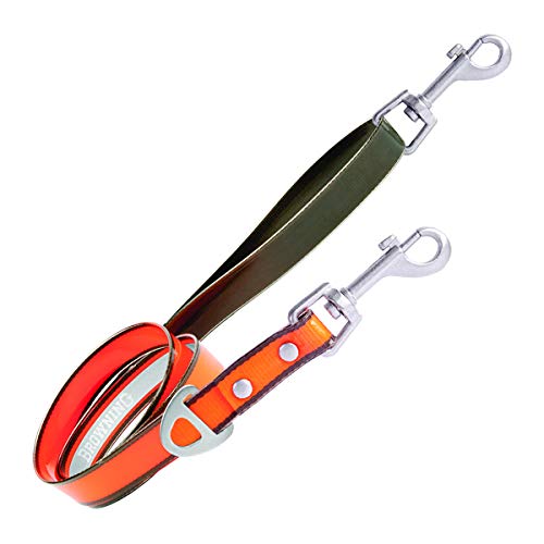 Algopix Similar Product 5 - 