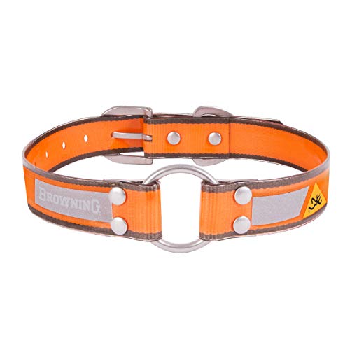 Algopix Similar Product 17 - 