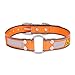 Algopix Similar Product 6 - Browning Performance Dog Collar 