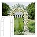Algopix Similar Product 5 - Adorox 75Ft 1 Set White Metal Arch
