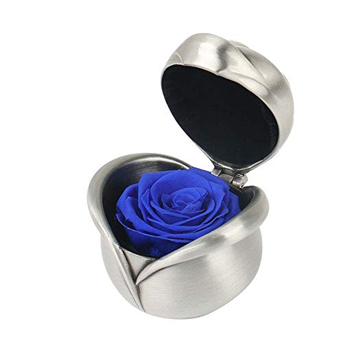 Algopix Similar Product 9 - SDFGHG Best Gifts for Valentines Day