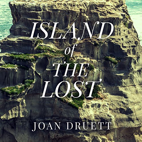 Algopix Similar Product 16 - Island of the Lost Shipwrecked at the