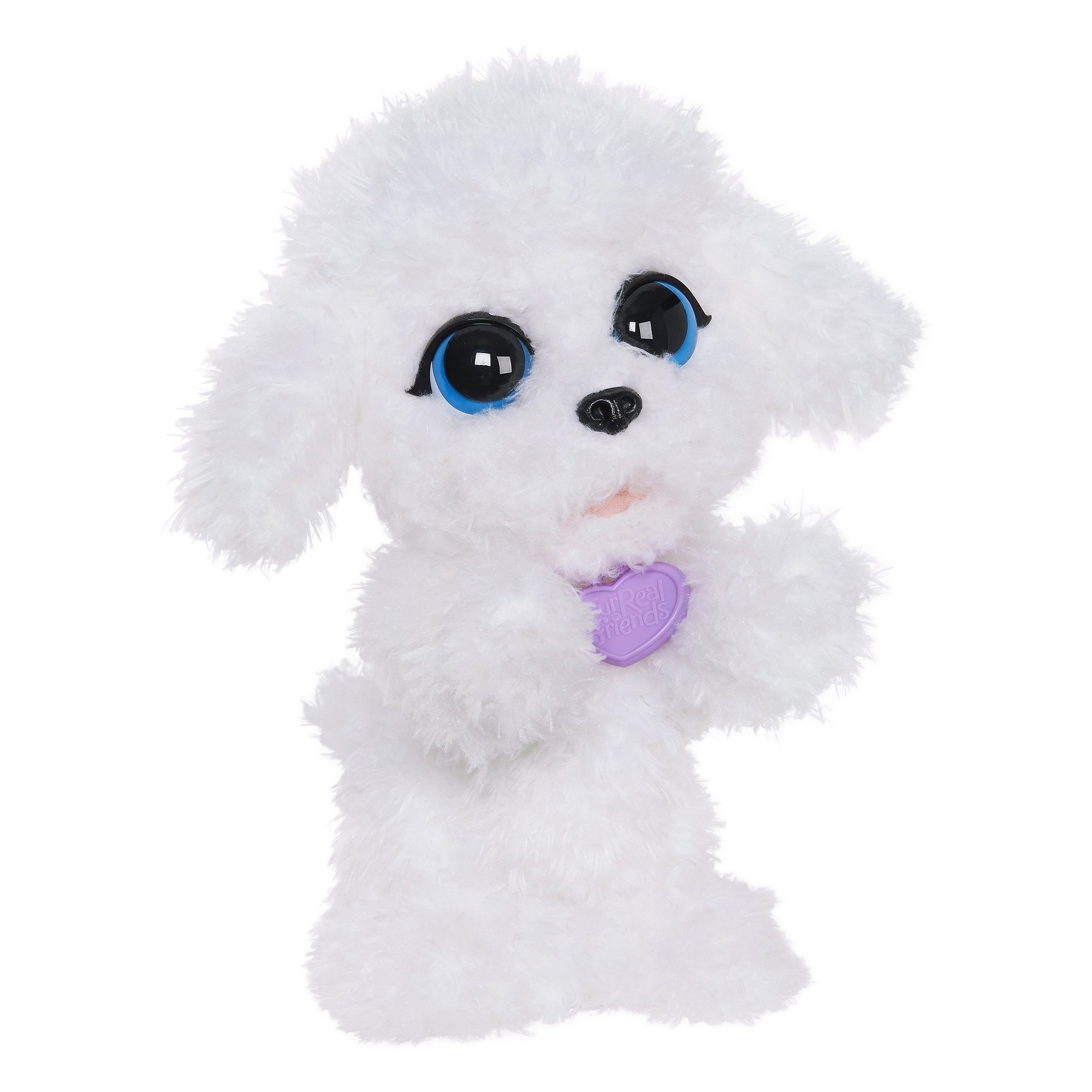 Algopix Similar Product 7 - FurReal Friends Playful Pets Poppy My