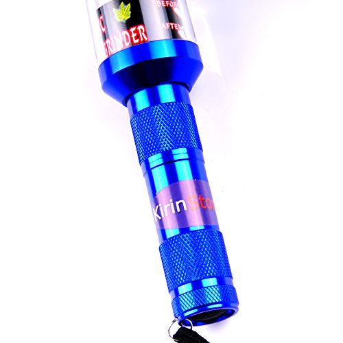 Algopix Similar Product 19 - Kirinstores R Flashlight Shaped Herb