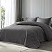 Algopix Similar Product 18 - Bedsure Quilts Queen Size Lightweight