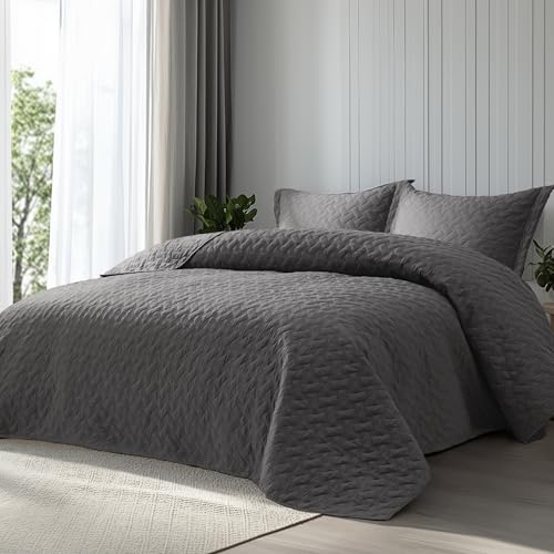 Algopix Similar Product 5 - Bedsure Quilts Queen Size  Lightweight