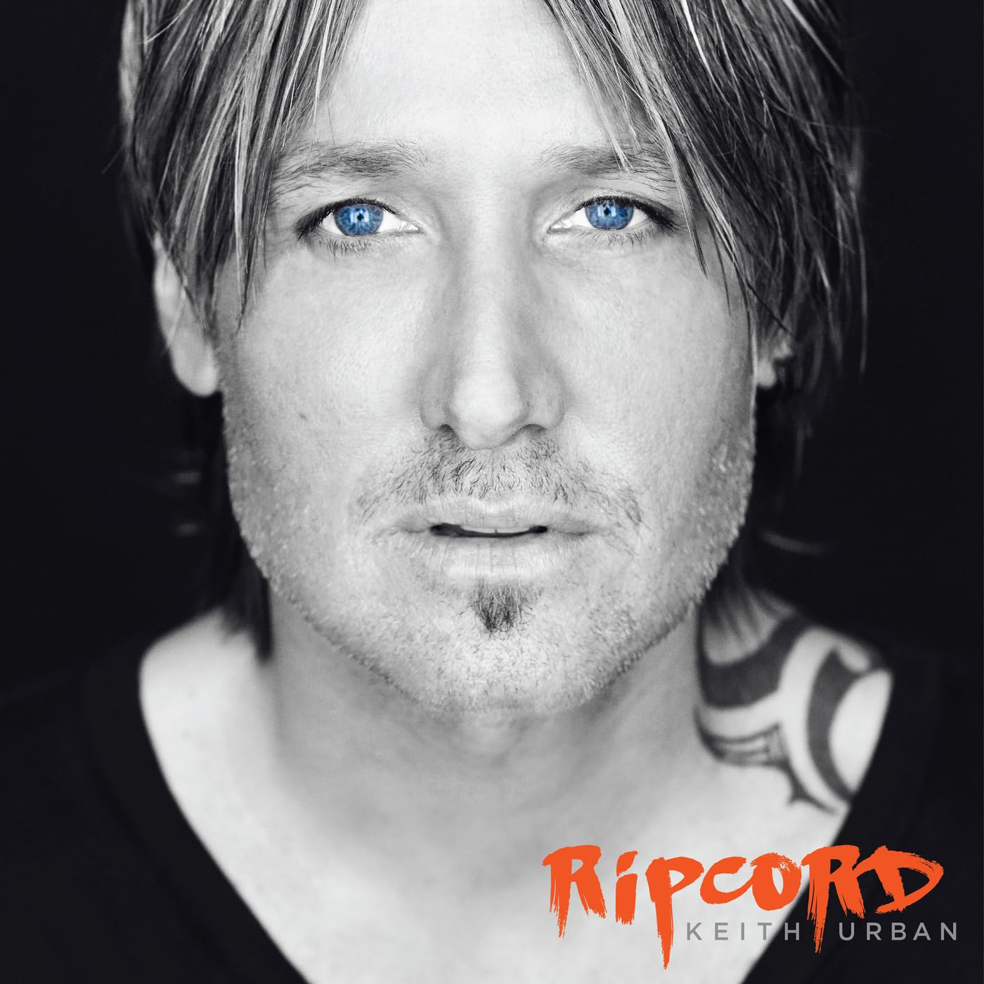 Algopix Similar Product 15 - Ripcord
