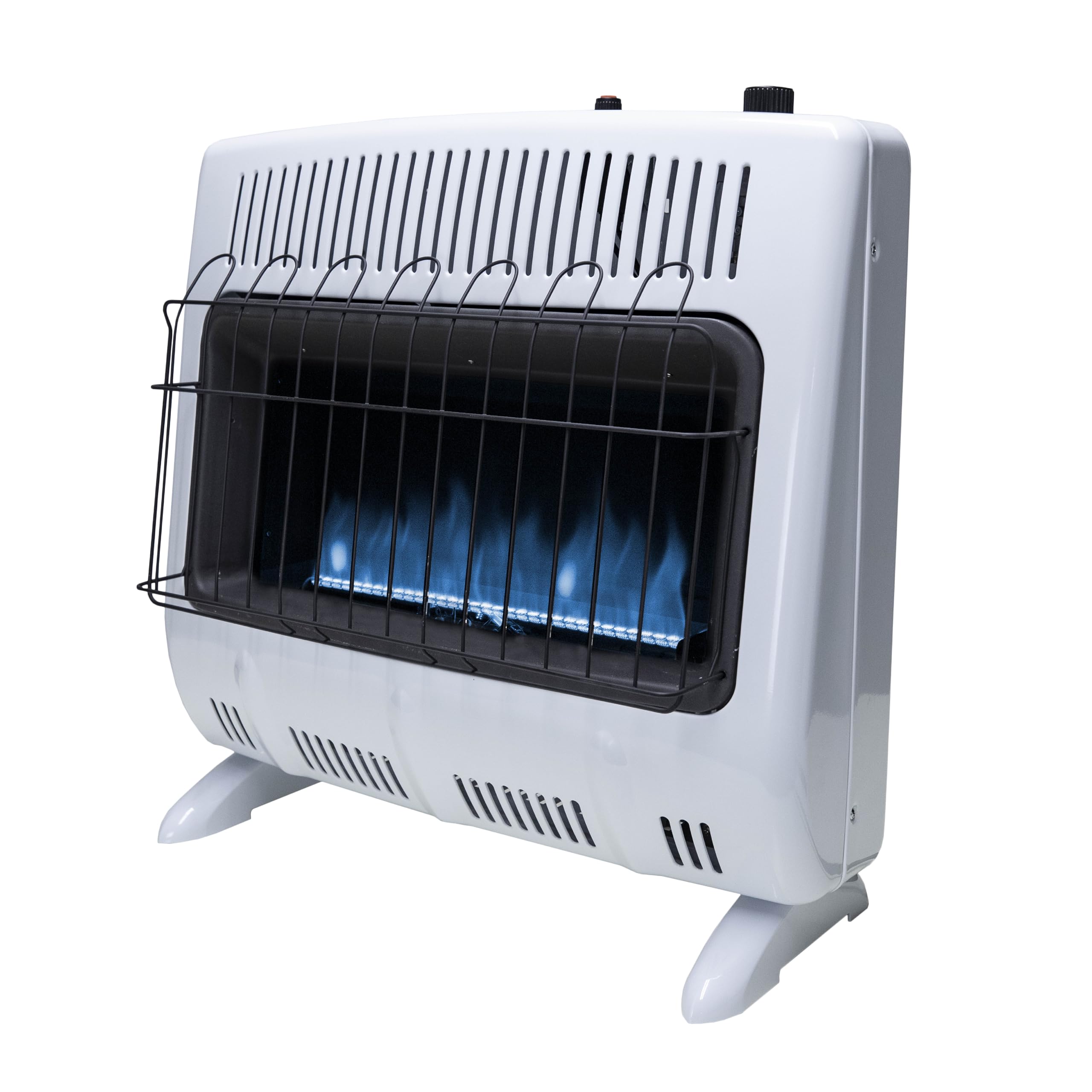 Algopix Similar Product 15 - Mr Heater F299730 30000 BTU Blue