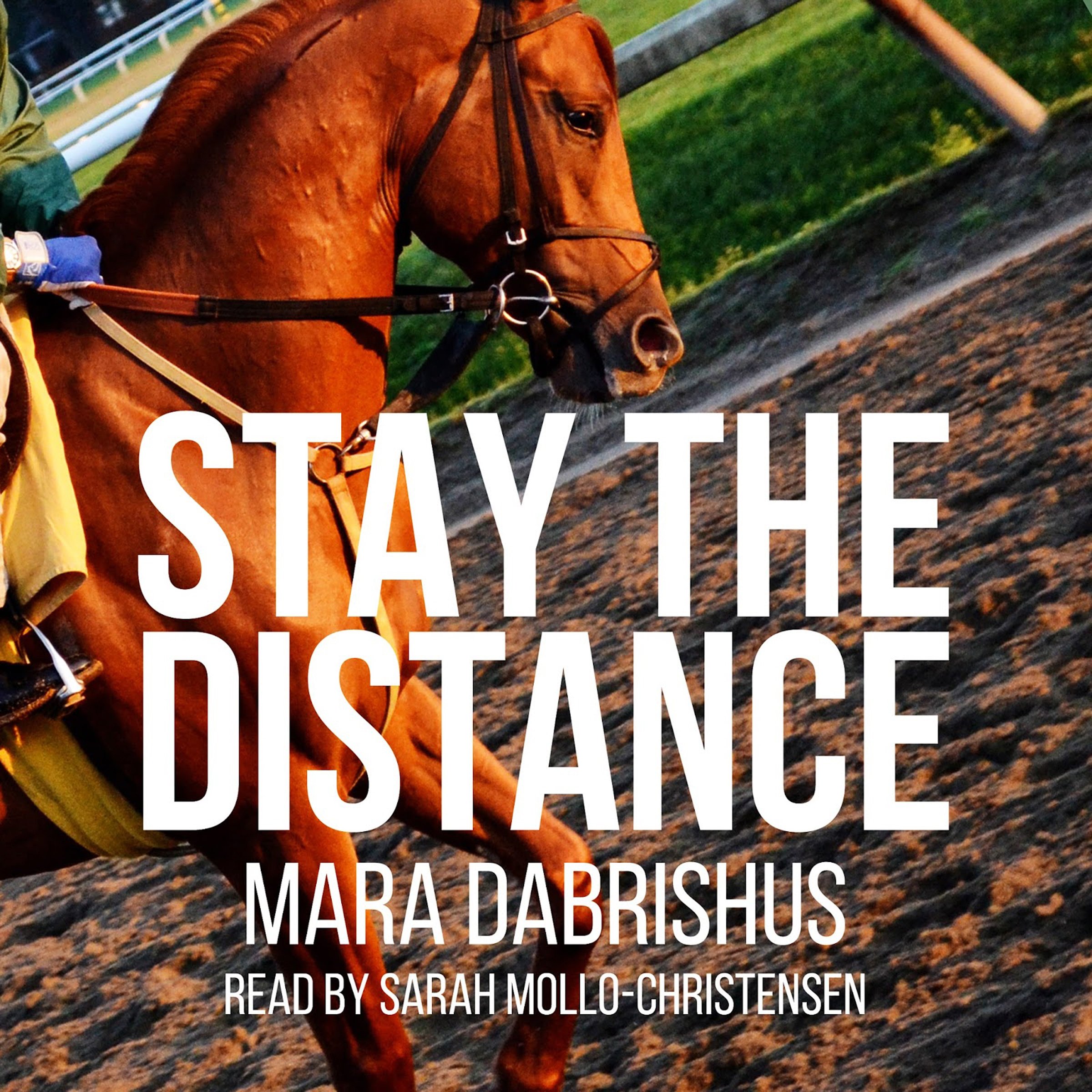 Algopix Similar Product 1 - Stay the Distance, Book 1