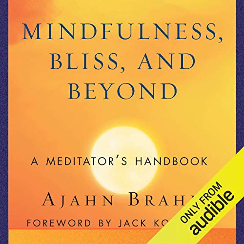 Algopix Similar Product 11 - Mindfulness Bliss and Beyond A