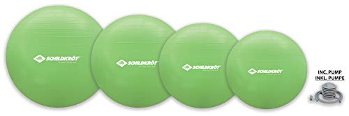 Algopix Similar Product 10 - Schildkrt Fitness Unisexs Gym Ball