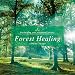 Algopix Similar Product 6 - Forest Healing - stress reset
