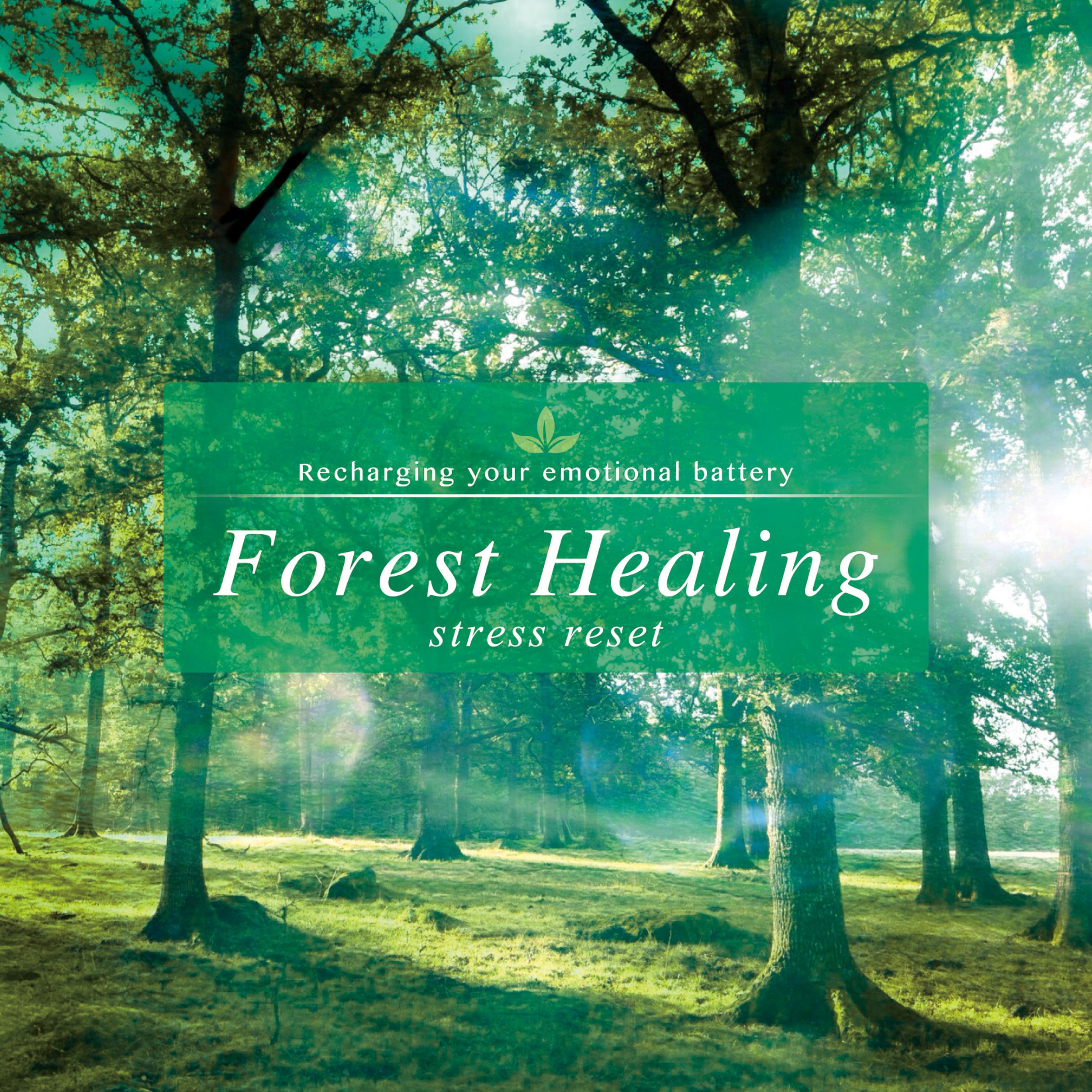 Algopix Similar Product 8 - Forest Healing - stress reset