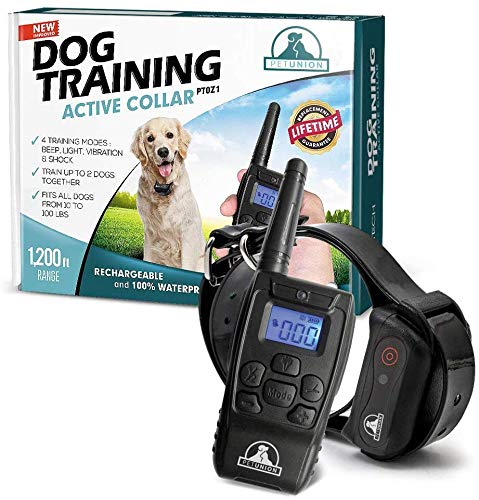 Algopix Similar Product 5 - Pet Union PT0Z1 Premium Dog Training