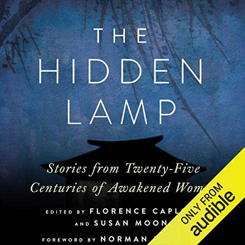 Algopix Similar Product 11 - The Hidden Lamp Stories from