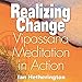 Algopix Similar Product 13 - Realizing Change Vipassana Meditation