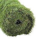 Algopix Similar Product 13 - GOLDEN MOON Artificial Grass for Dogs