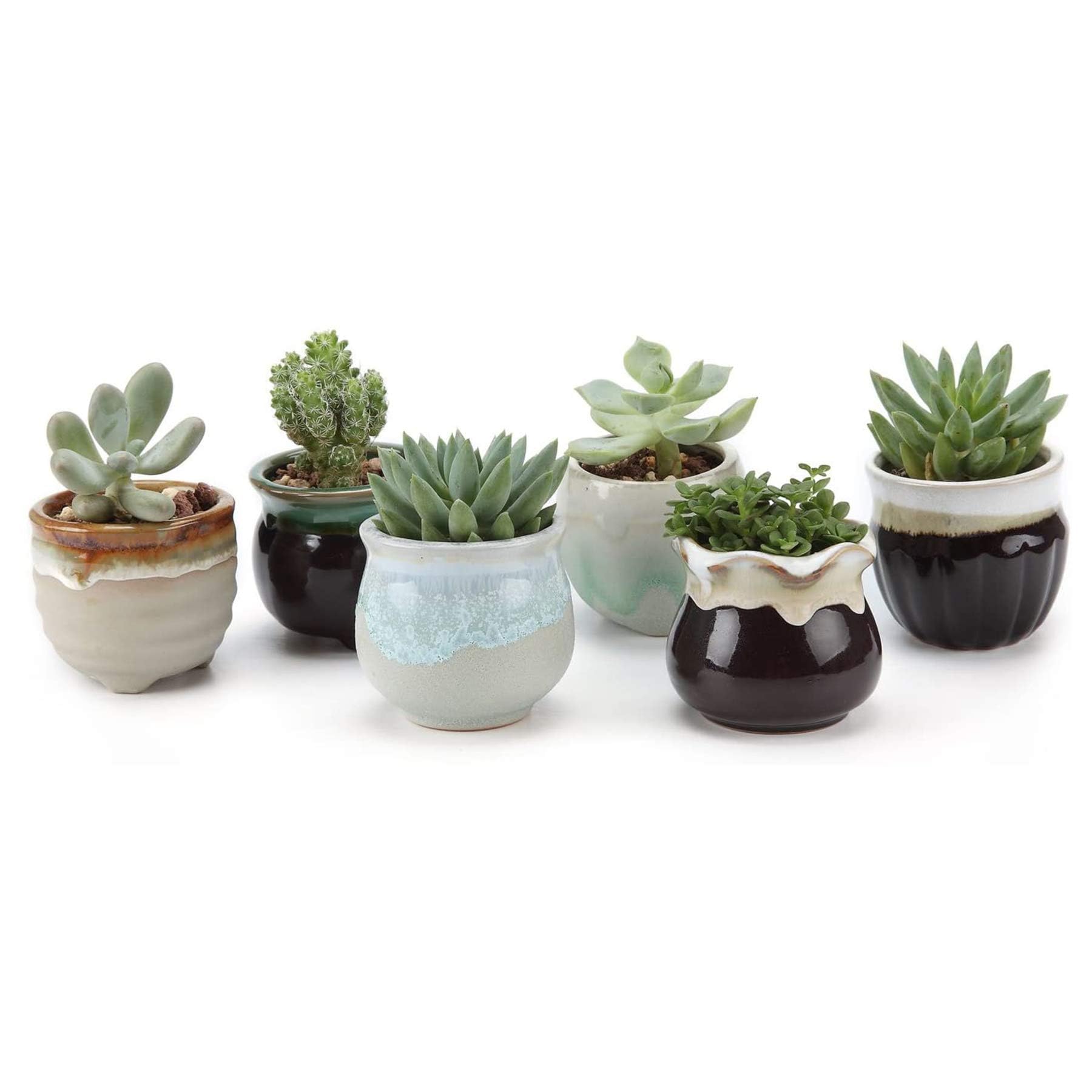 Algopix Similar Product 3 - T4U Small Ceramic Succulent Pots with