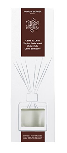 Algopix Similar Product 12 - MAISON BERGER Virginia Cedarwood Reed