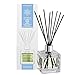 Algopix Similar Product 7 - MAISON BERGER 106008 Reed Diffuser