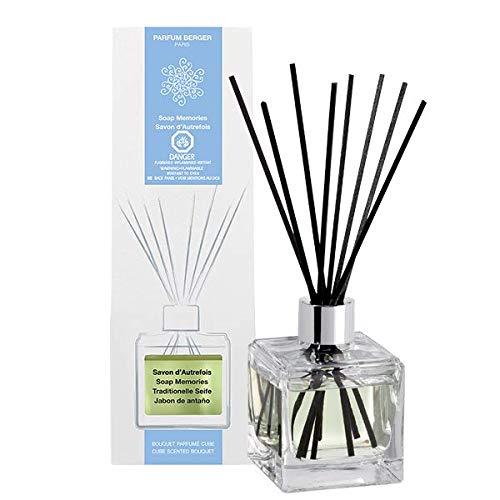 Algopix Similar Product 20 - MAISON BERGER 106008 Reed Diffuser