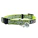 Algopix Similar Product 10 - Pawtitas Glow in The Dark Cat Collar