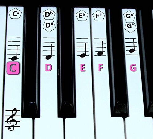 Algopix Similar Product 1 - FineFun Transparent Plastic Removable