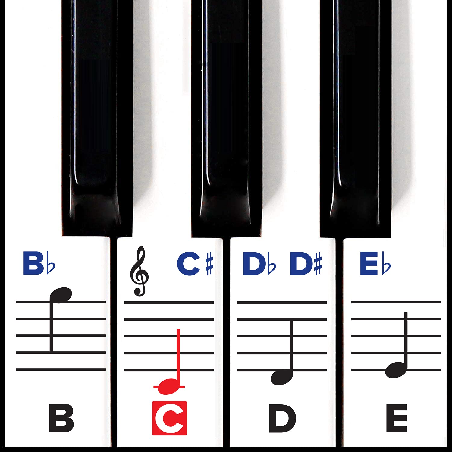 Algopix Similar Product 20 - Piano Stickers for Keys  Removable