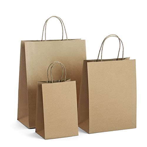 Algopix Similar Product 18 - GSSUSA Paper Bags 5x3x8 8x425x10