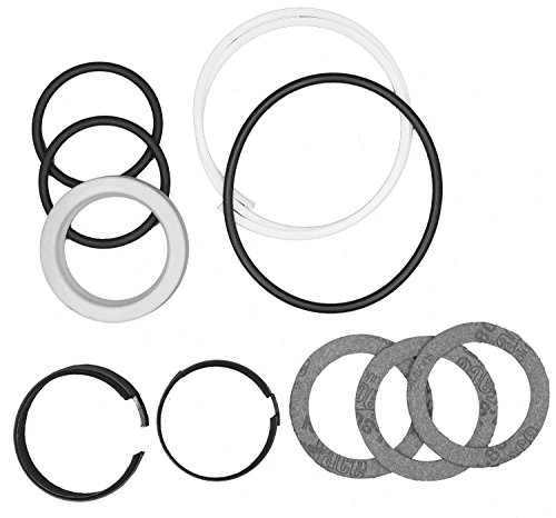 Algopix Similar Product 13 - CASE D42870 HYDRAULIC CYLINDER SEAL KIT